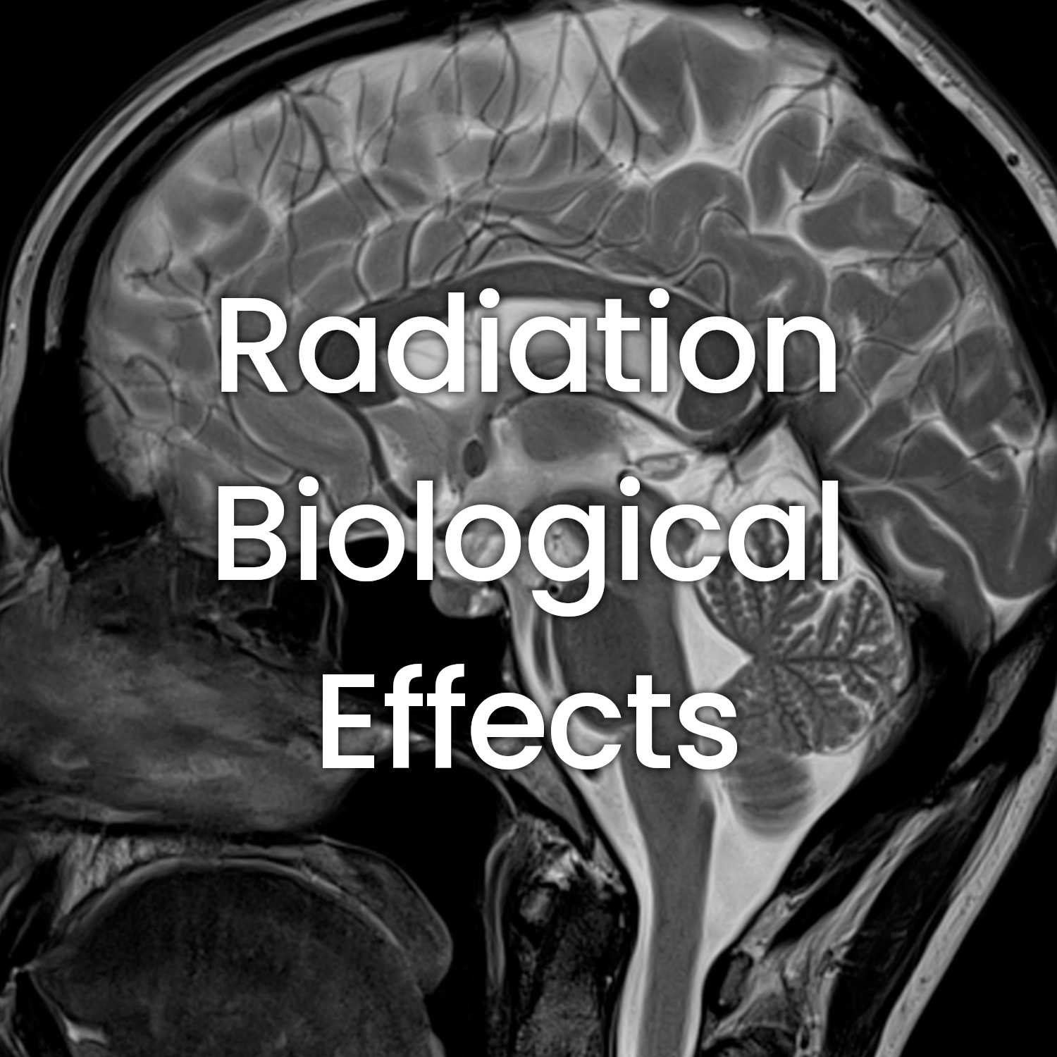 Biological Effects of Ionizing Radiation